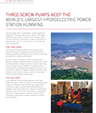 Three Gorges Dam case study