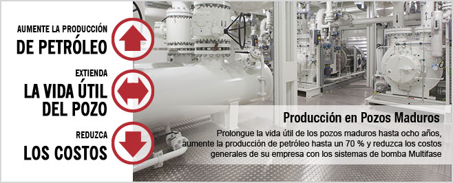 Producción en pozos maduros